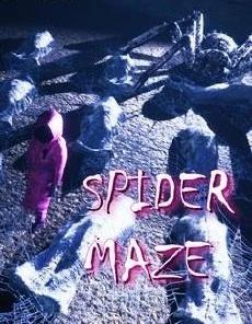 Spider Maze
