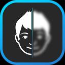 Ashampoo Face Blur
