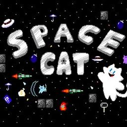 Space Cat