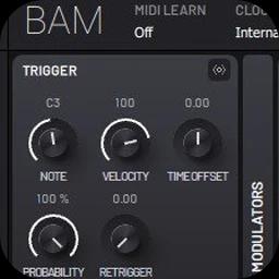 Imaginando BAM 1.5.1