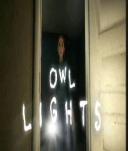 Owl Lights