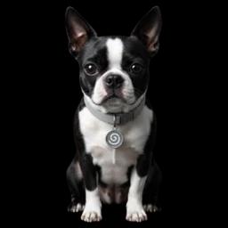 Terrier Anonymizer 1.0.0.1