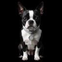 Terrier FixSectra 1.0.0