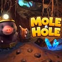 Mole a Hole