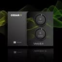 CEDAR Audio VoicEX