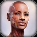 Complete Anatomy 11.5.0