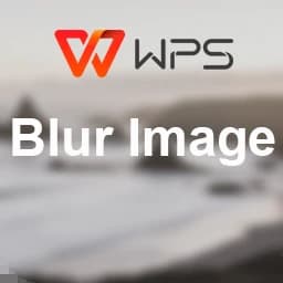 WPS Blur Image