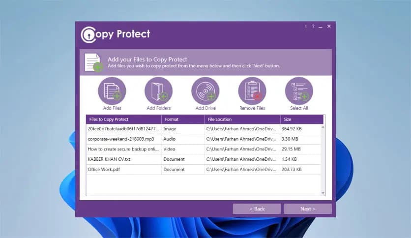 Screenshot