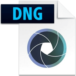 Adobe DNG Converter  16.1