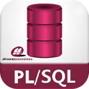 Allround Automations PL/SQL Developer 15.0.4.2064