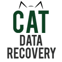 CAT Data Recovery 1.0.0.2