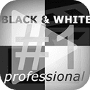 Franzis BLACK & WHITE Video #1 Professional 1.13.0382