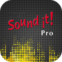 Internet Sound It Pro 9.01.4