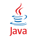 Java SE Runtime Environment (JRE) 8.0.411