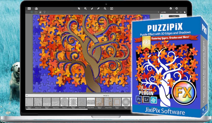 JixiPix PuzziPix Pro 1.0.17 for MacOS Free Download - FileCR