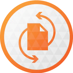 Paragon Partition Manager 17.10.2.5049