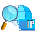 Copy Public IP 1.3