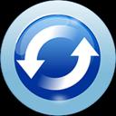 Synchredible Professional 9.004