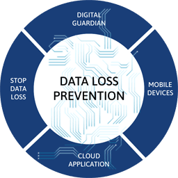 Trellix Data Loss Prevention Endpoint 11.10.5.5
