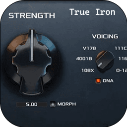 Kazrog True Iron v1.3.3