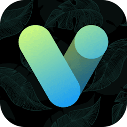 Vera Icon Pack - shapeless icon 6.0.6