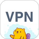 VPN service – VPN Beaver Proxy v2.16