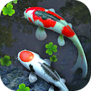 Water Garden Live Wallpaper 2.04