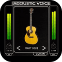 Nembrini Audio Acoustic Voice 1.0.1