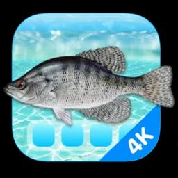 Aquarium 4K - Live Wallpaper 1.0.5