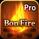 BonFire3D Pro 1.2.0.2