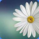 Gallery Lite - Photos, Videos 1.3.9