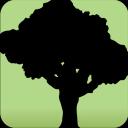 SpeedTree Modeler Enterprise 10.0.1
