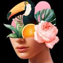 Dada: collage maker & editor 1.2.7