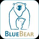 BlueBear Forensic Carver 12.12.65.0