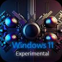 Windows 11 Pro Experimental