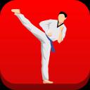 Taekwondo Workout At Home 1.99