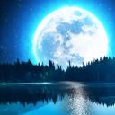 Relaxing Music: Sleep Sounds 12.1