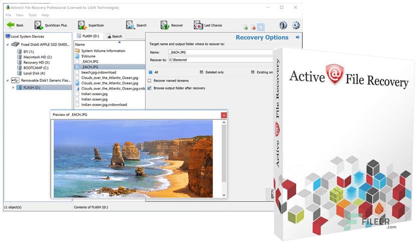 Active File Recovery 26.0.3 Free Download - FileCR