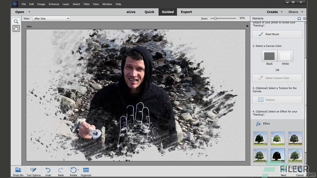 Adobe Elements 2025 (v24.0) Free Download FileCR