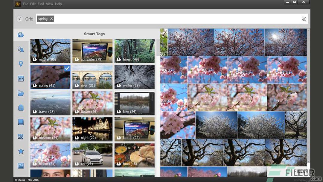 Adobe Photoshop Elements 2025 Free