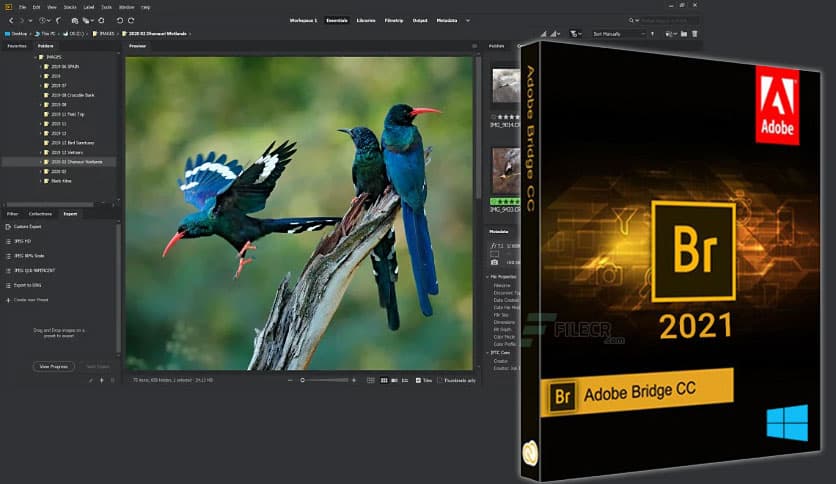 Adobe Bridge 2026 (v16.0.2.23) Download Latest Pre-activated - FileCR