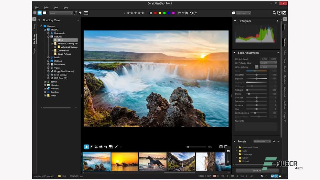 Corel AfterShot Pro 3.7.0.446 Free Download FileCR