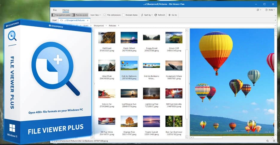 File Viewer Plus 6.2.1.100 Free Download - FileCR