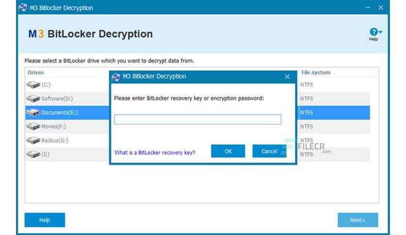 M3 Bitlocker Recovery 5.8.6 Free Download - FileCR