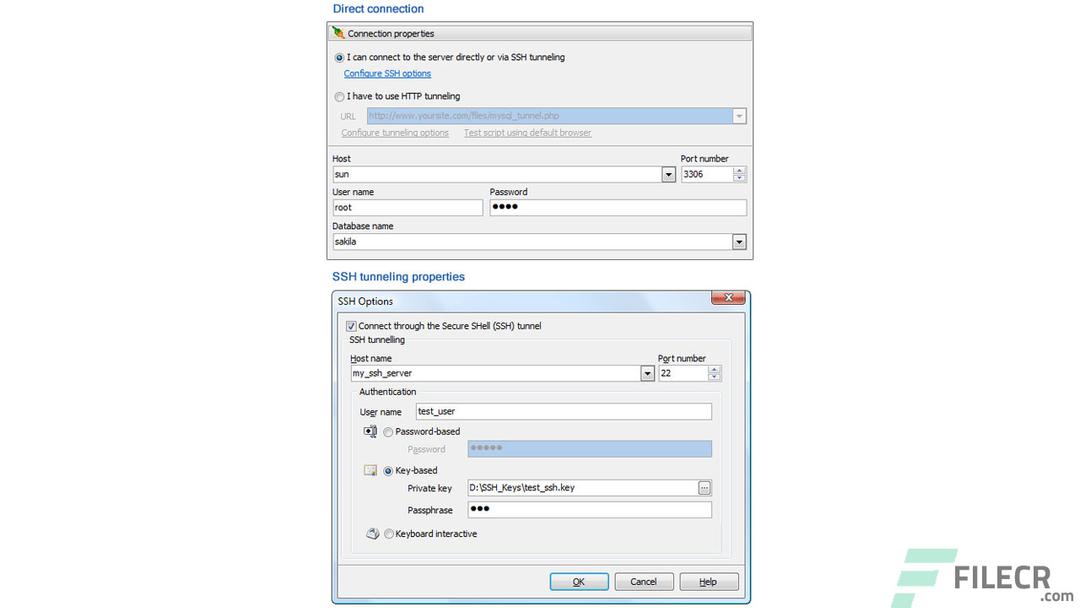 PHP Generator for MySQL Professional 22.8.0.10