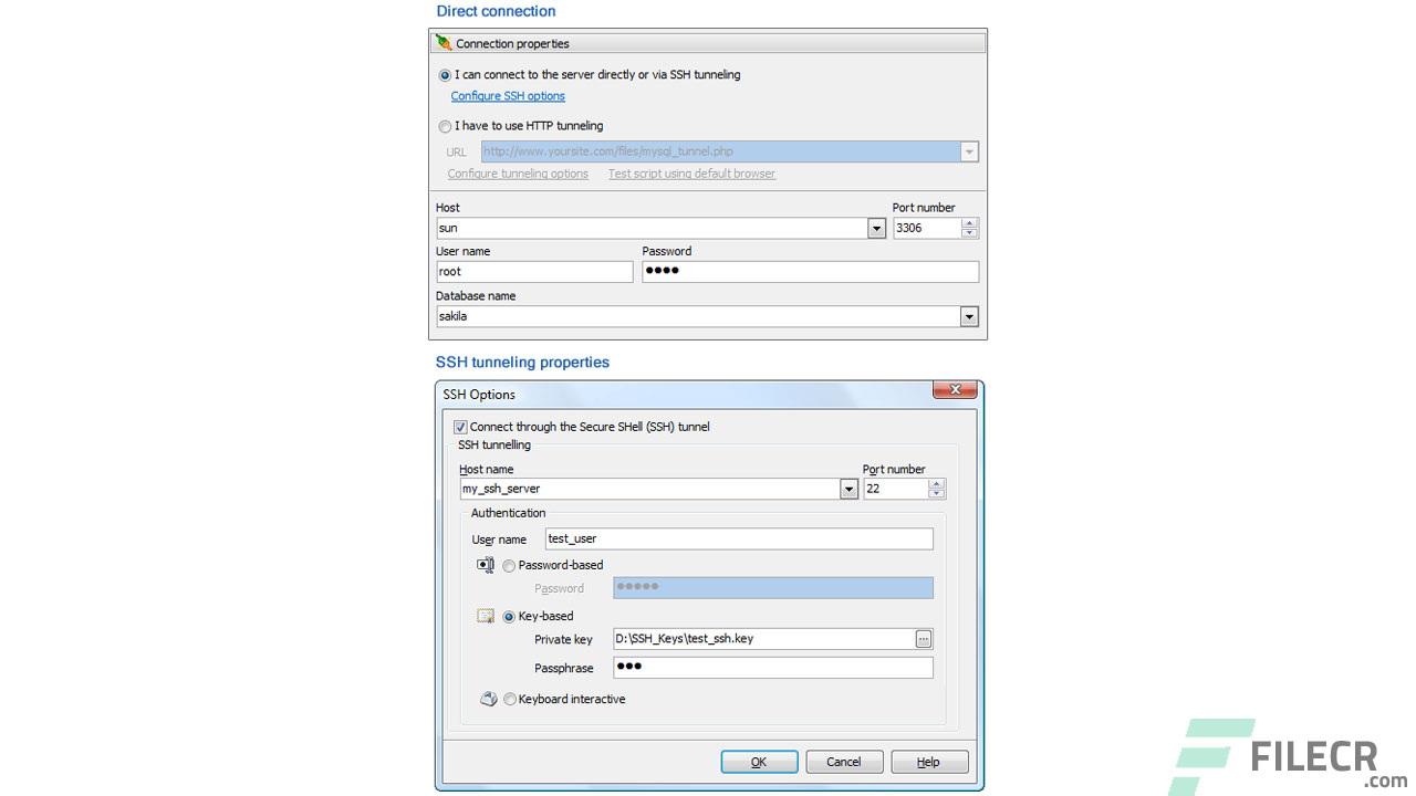 PHP Generator for MySQL Professional 22.8.0.15 - FileCR