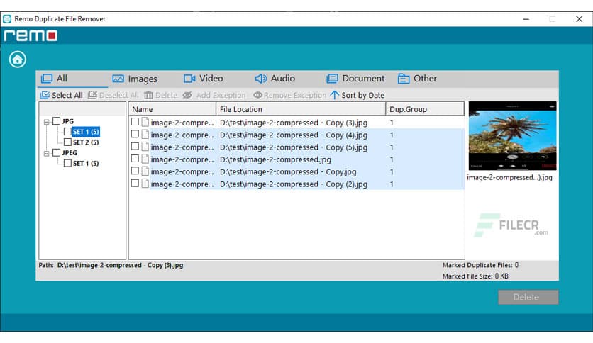 Remo Duplicate File Remover 1.0.0.11 Download - FileCR