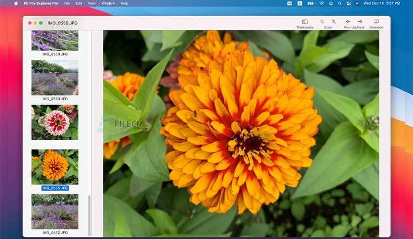 FE File Explorer PRO 3.4.2 for MacOS Free Download - FileCR